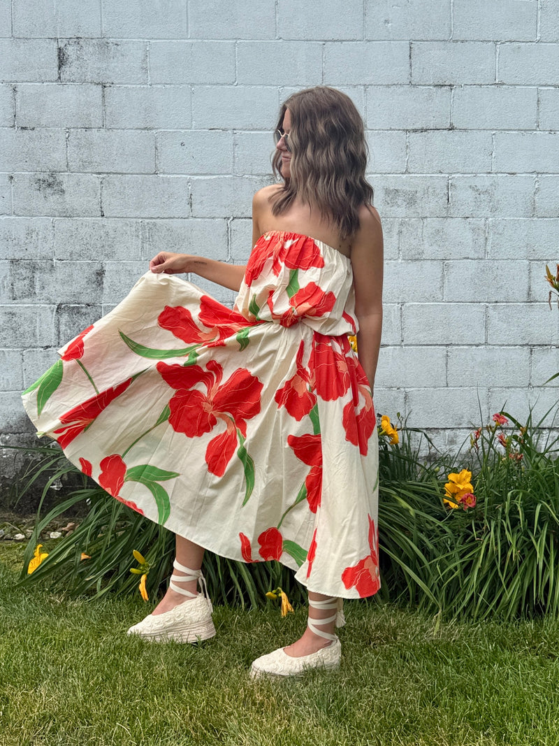 Hibiscus Set